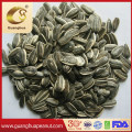 Best Quality Sunflower Seed